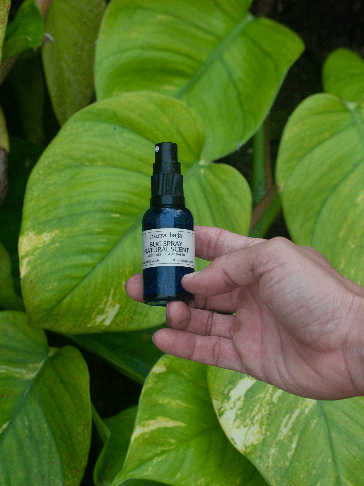 Repelente Natural base natural y aceites esenciales